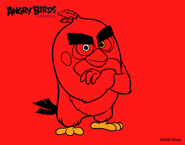 Red de Angry Birds