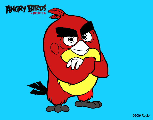 Red de Angry Birds