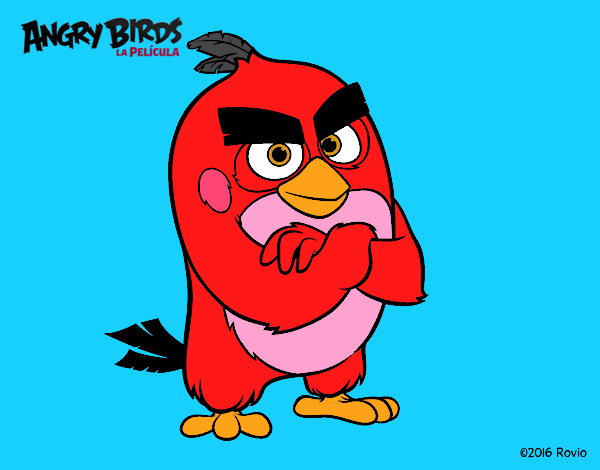 el mejor  Angry birds