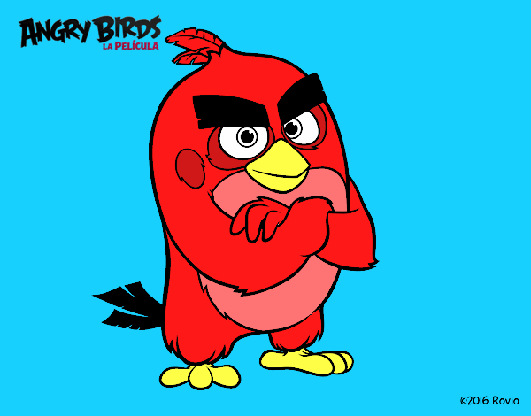 Red de Angry Birds