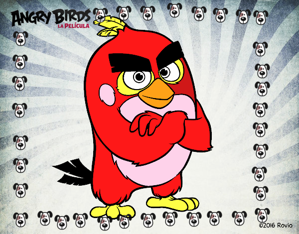 Red de Angry Birds