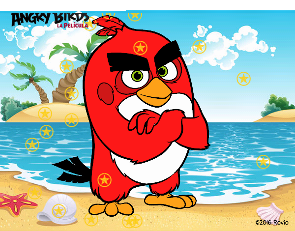 Red de Angry Birds