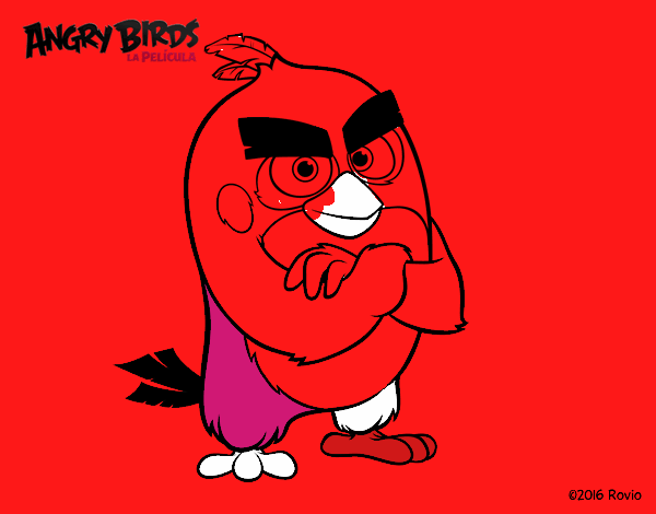 Red de Angry Birds