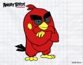 Red de Angry Birds