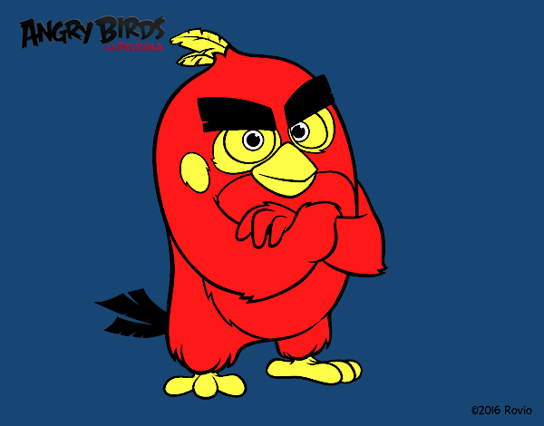 Red de Angry Birds