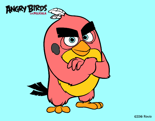 Red de Angry Birds