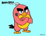 Red de Angry Birds