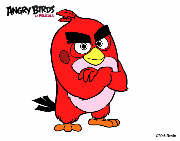 Red de Angry Birds