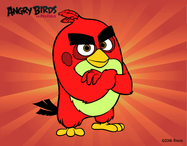 Red de Angry Birds