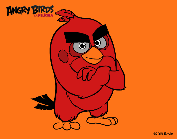 Red de Angry Birds