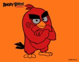 Red de Angry Birds