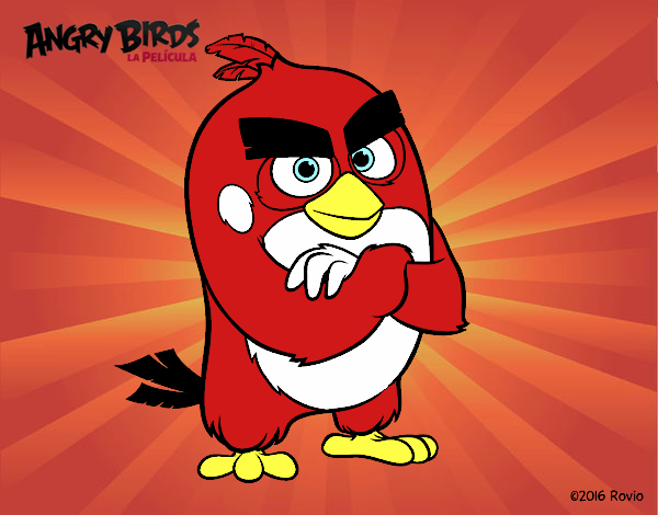 Red de Angry Birds