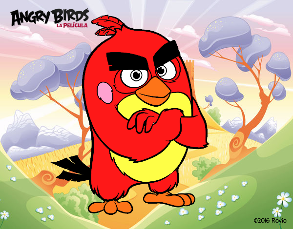 Red de Angry Birds