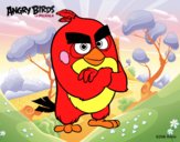 Red de Angry Birds