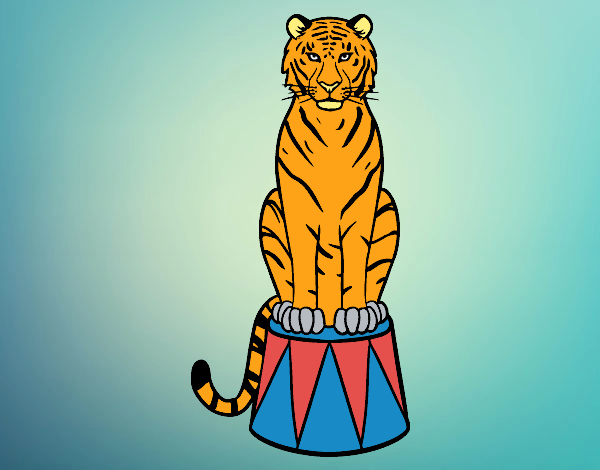 Tigre de circo