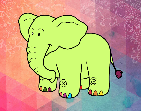 Elefante