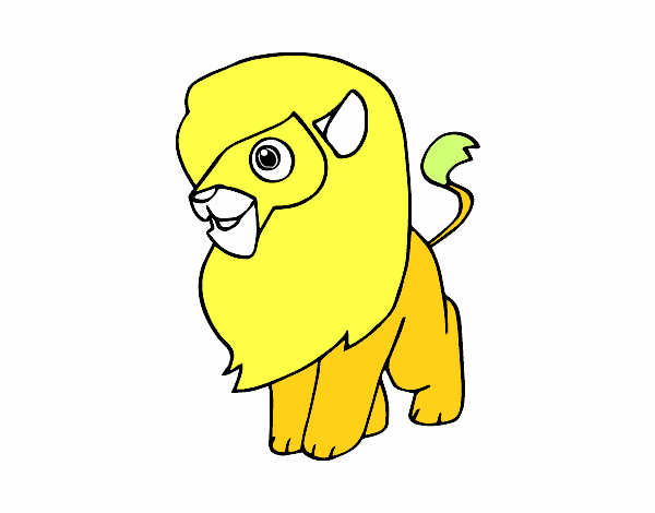 Un león