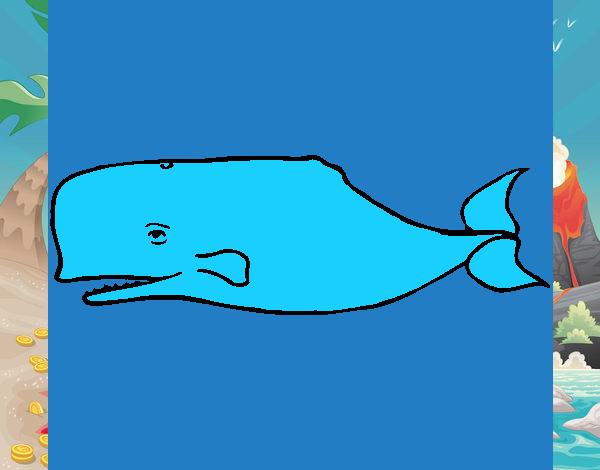 Ballena azul