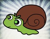 Caracol bebé