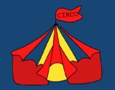 Circo