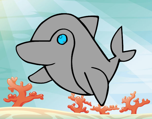 delfin pequeño