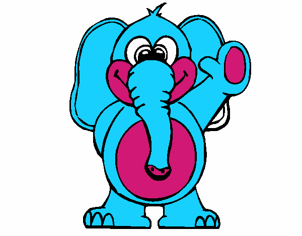 Elefante 2