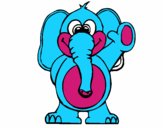 Elefante 2