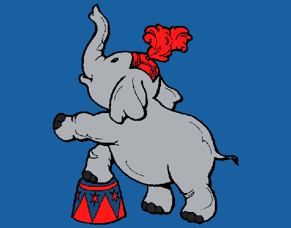 Elefante