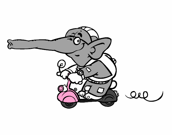 Elefante en moto