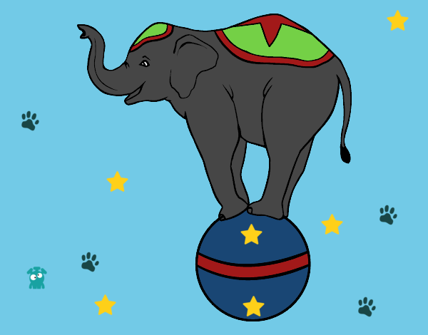 Elefante equilibrista