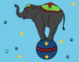 Dibujo Elefante equilibrista pintado por linda423
