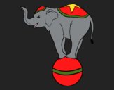 Elefante equilibrista