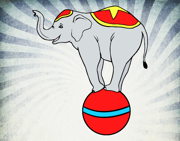 Elefante equilibrista