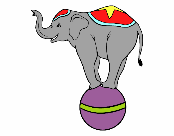 Elefante equilibrista