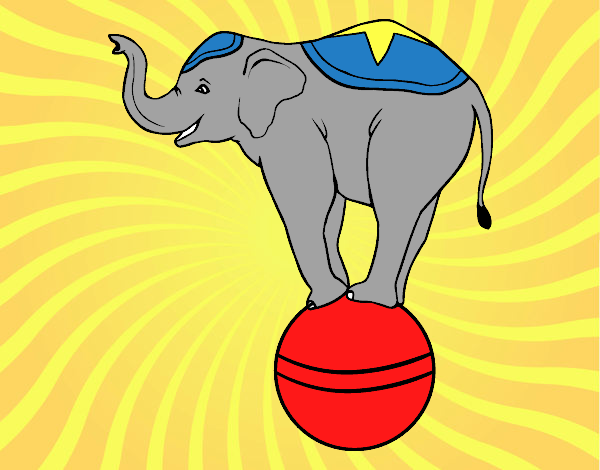 Elefante equilibrista