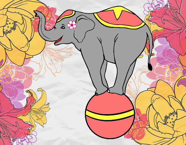 Dibujo Elefante equilibrista pintado por sebasteque
