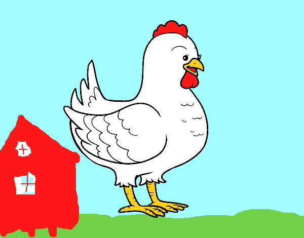 Gallina de una granja