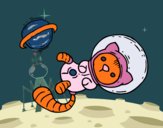 Gatito astronauta