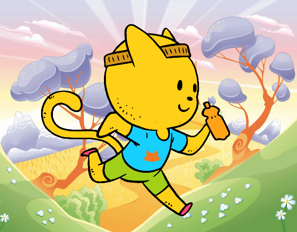 Gato runner