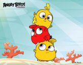 Las crias de Angry Birds