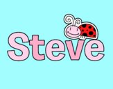 Nombre Steve