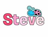 Nombre Steve