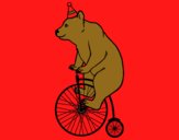 Oso en bicicleta