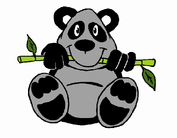 Oso panda