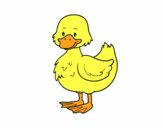 Patito de granja