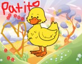 Patito de granja