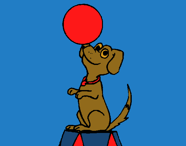 Perro de circo