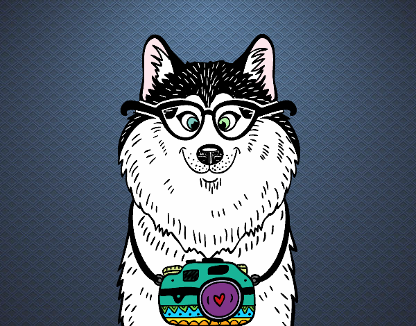 perro hipster