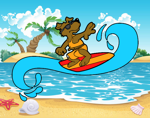 Perro surfeando