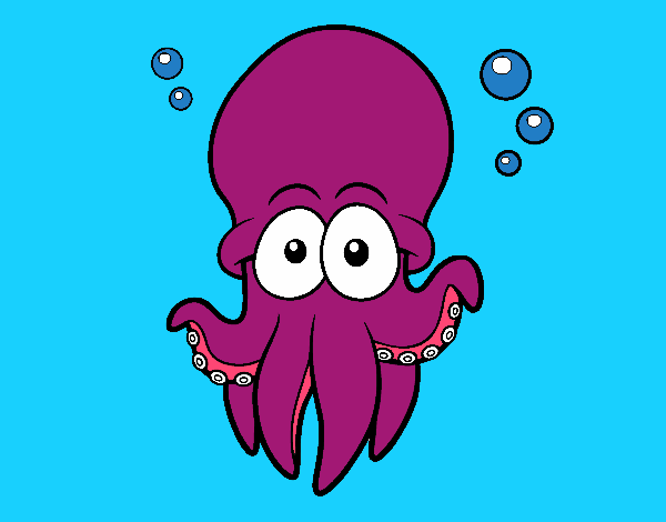 Pulpo rojo